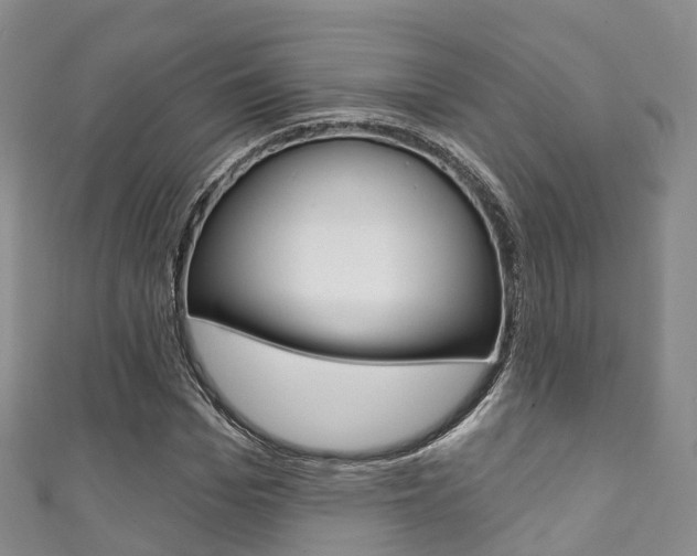 X0000111930969200907271027