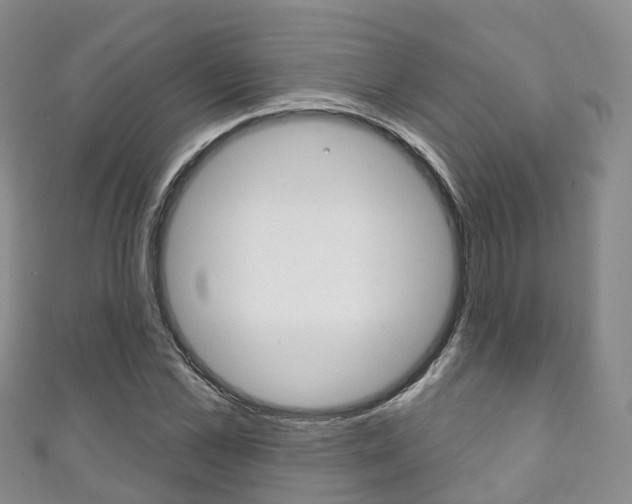 X0000111930973200907271027