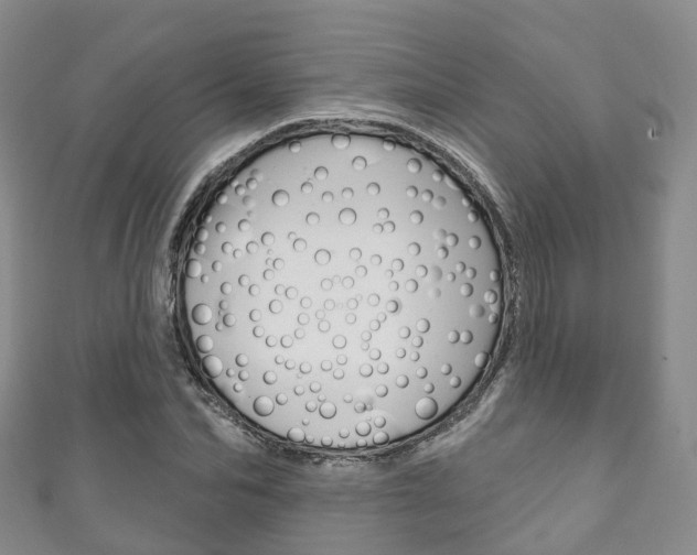 X0000111930974200907271027