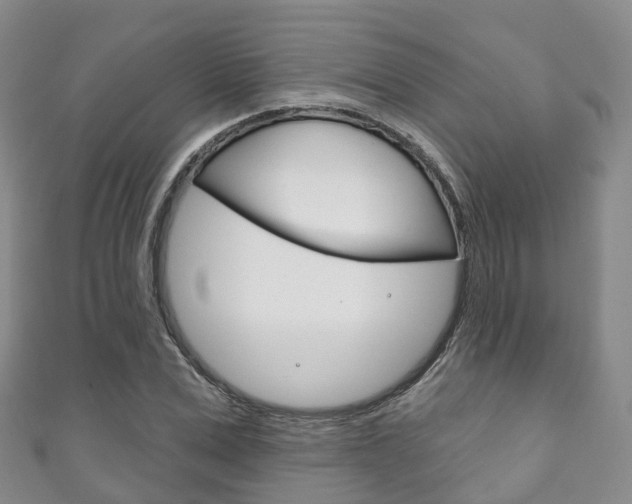 X0000111930975200907271027