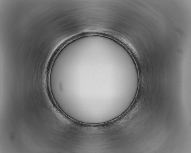 X0000111930976200907271027