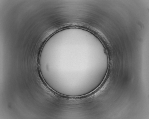 X0000111930977200907271027