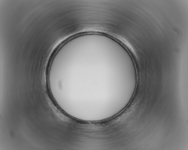 X0000111930980200907271027