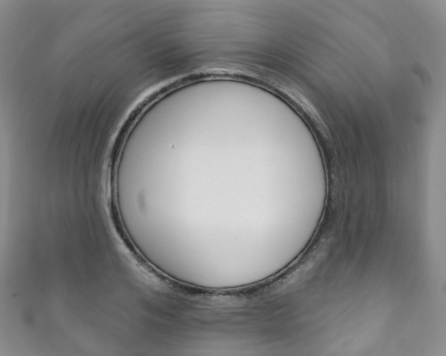 X0000111930984200907271027
