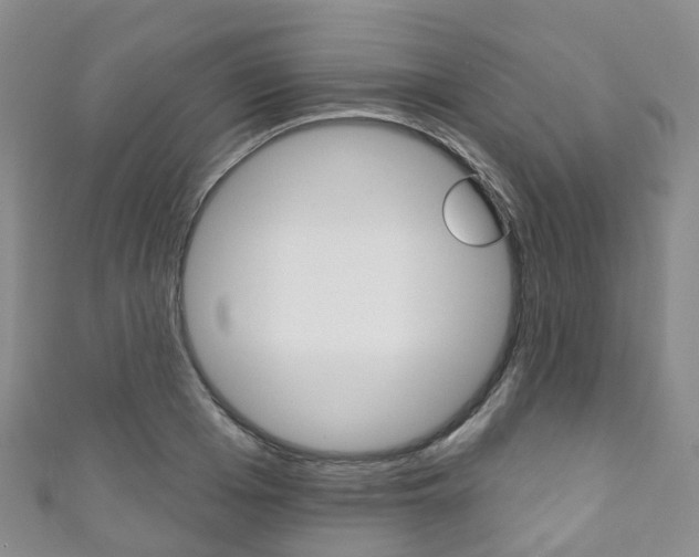 X0000111930985200907271027