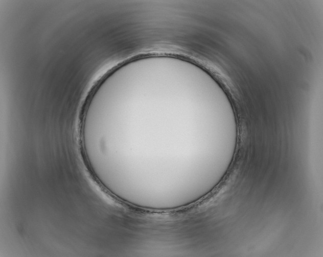 X0000111930990200907271027