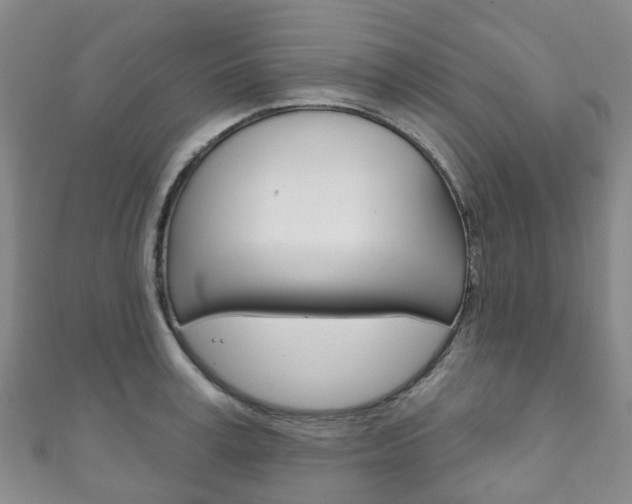 X0000111930995200907271027