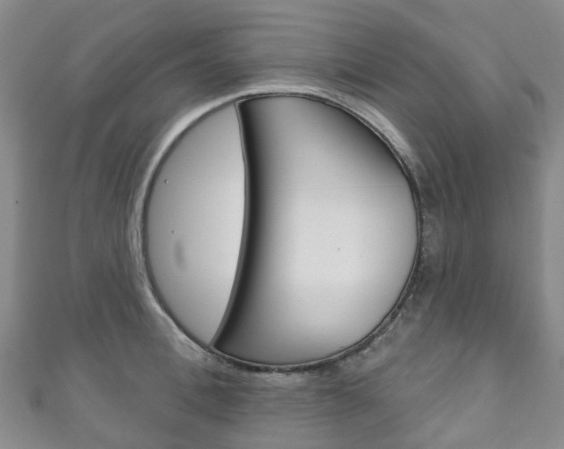X0000111930996200907271027
