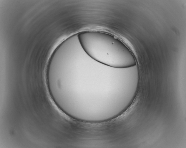 X0000111930997200907271027