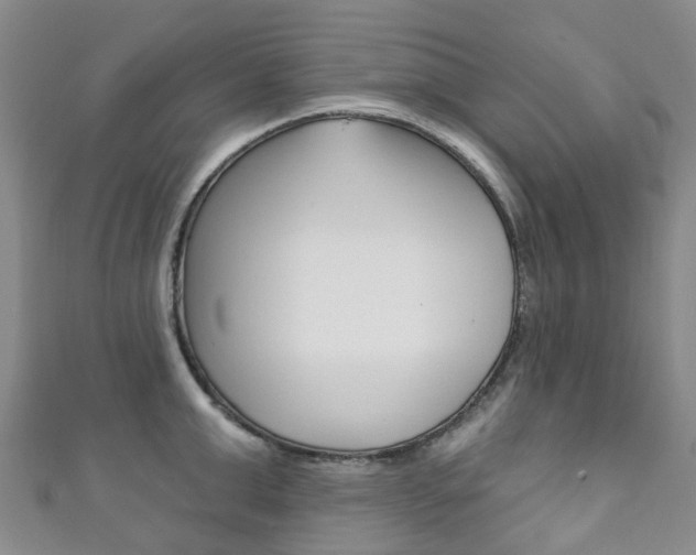 X0000111930999200907271027