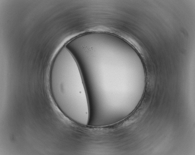 X0000111931000200907271027