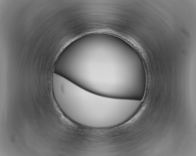 X0000111931001200907271027