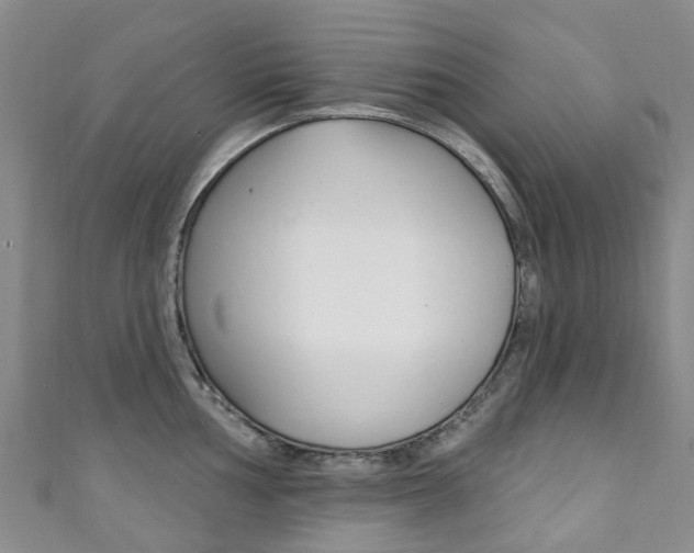 X0000111931002200907271027