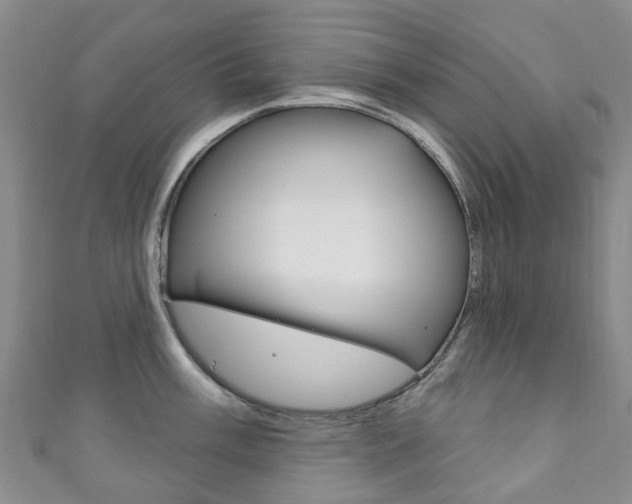X0000111931003200907271027