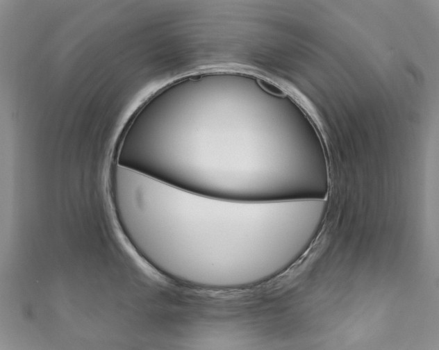 X0000111931005200907271026