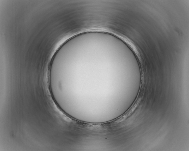 X0000111931006200907271026