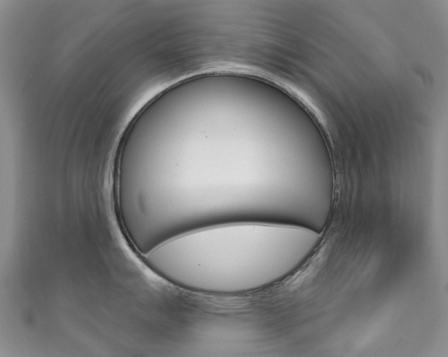 X0000111931007200907271026
