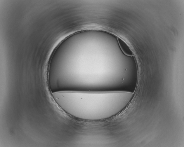 X0000111931008200907271026