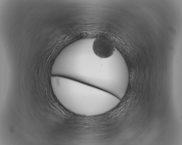 X0000111931009200907271026