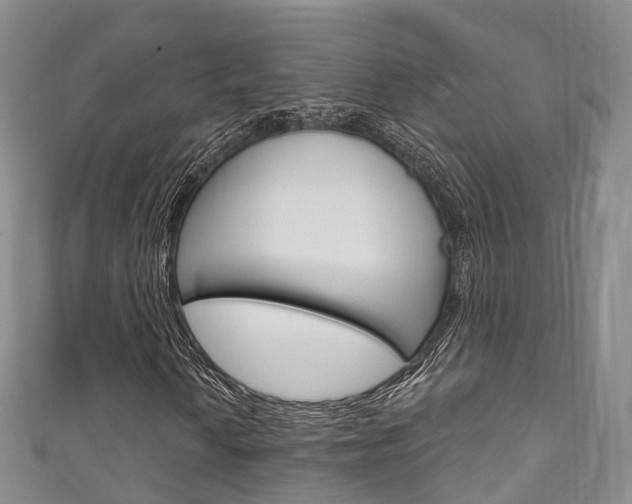 X0000111931010200907271026