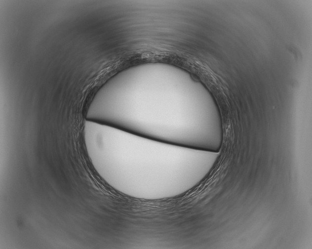 X0000111931012200907271026