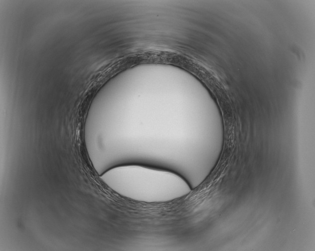 X0000111931013200907271026