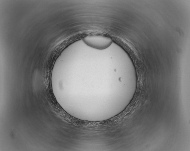 X0000111931015200907271026