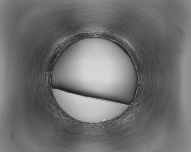 X0000111931016200907271026