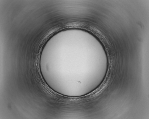 X0000111931017200907271026