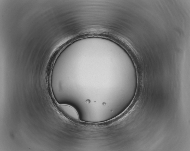 X0000111931018200907271026