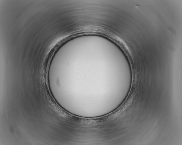X0000111931019200907271026