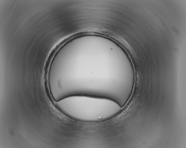 X0000111931020200907271026