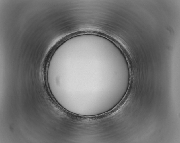 X0000111931022200907271026
