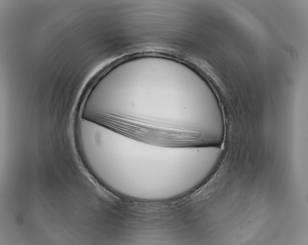 X0000111931024200907271026