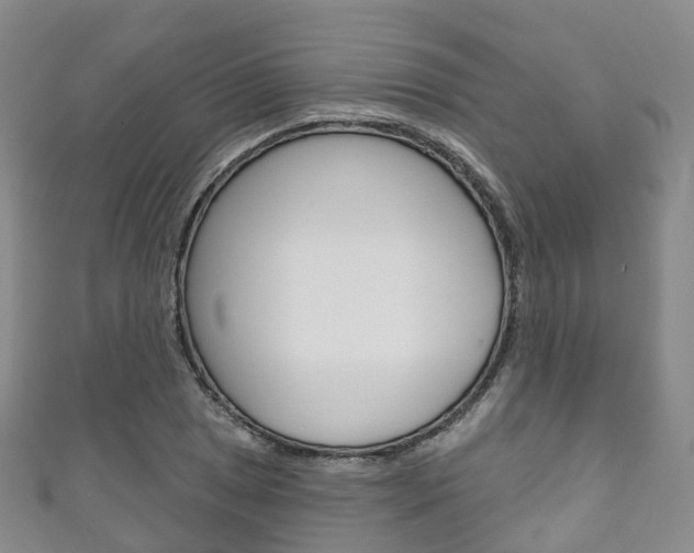 X0000111931025200907271026