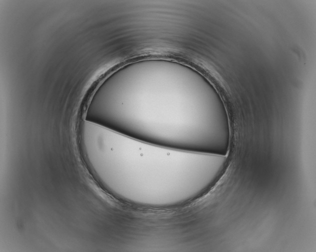 X0000111931026200907271026