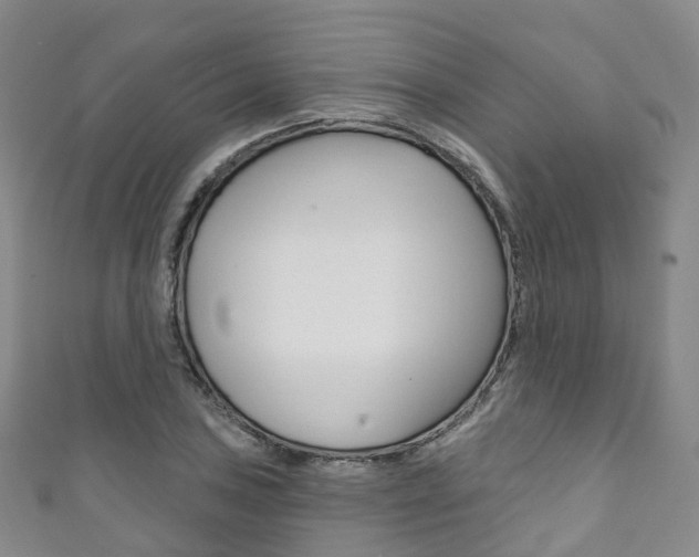 X0000111931027200907271026