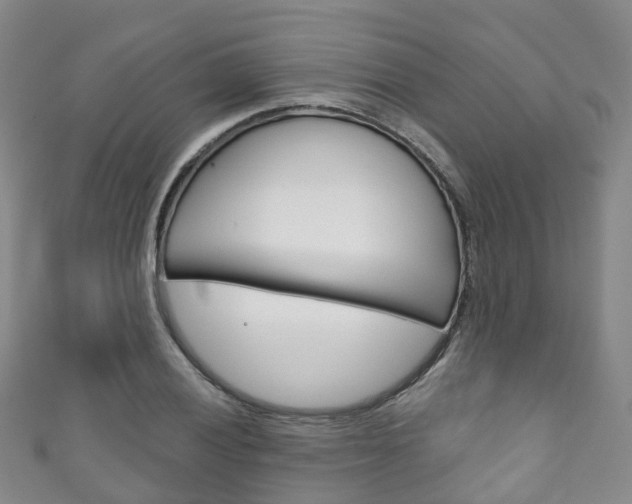 X0000111931028200907271026