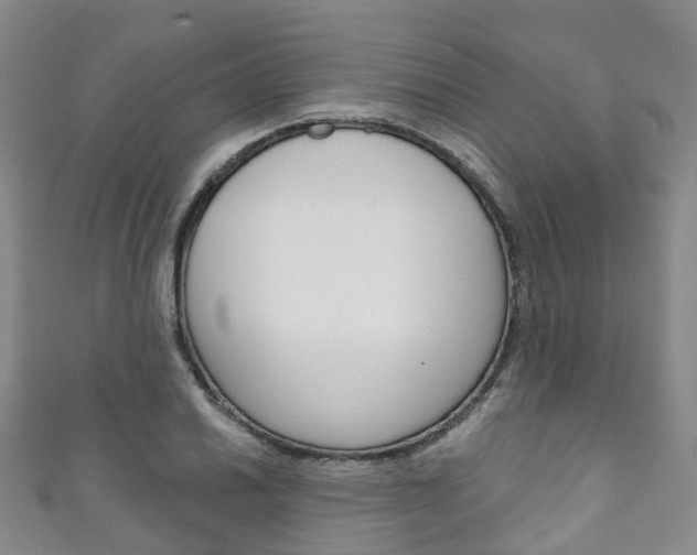 X0000111931030200907271026