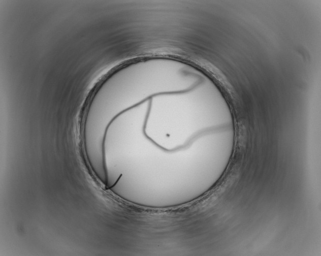 X0000111931031200907271026