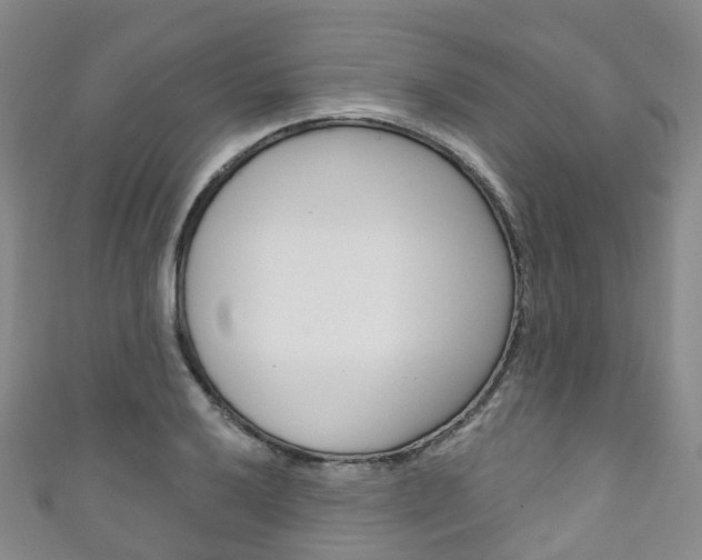 X0000111931032200907271026
