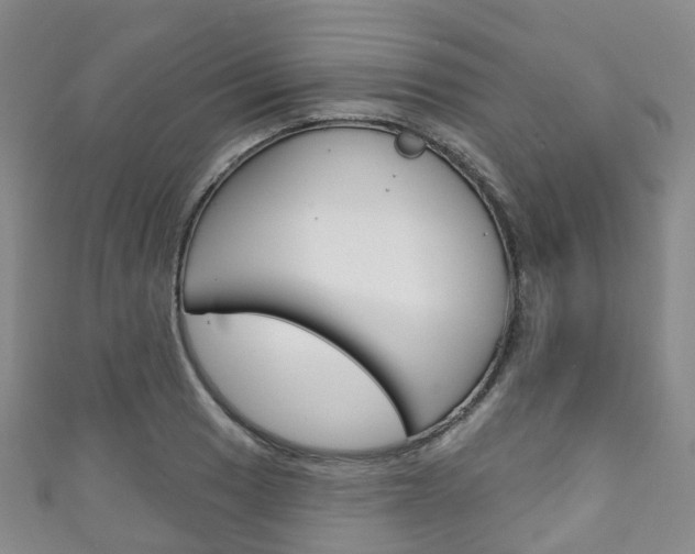 X0000111931033200907271026