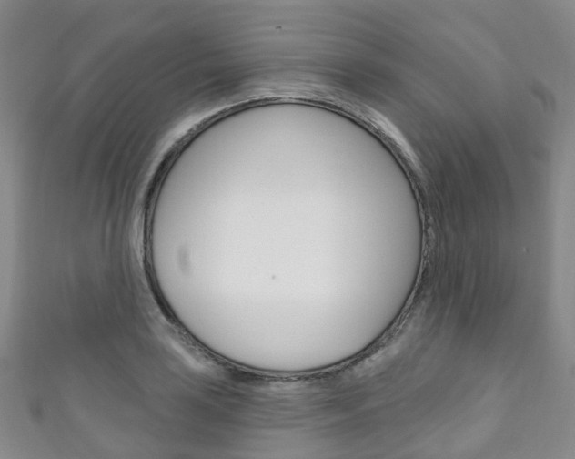 X0000111931035200907271026