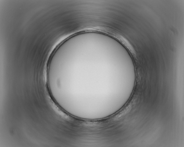X0000111931036200907271026