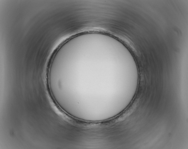 X0000111931038200907271026