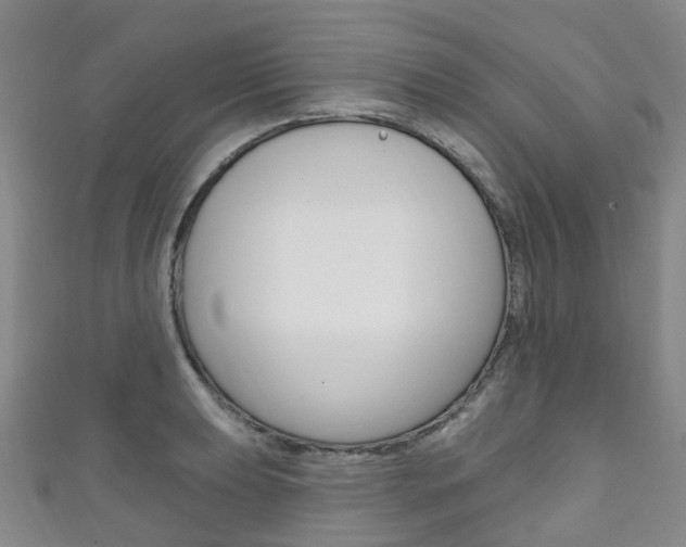 X0000111931039200907271026