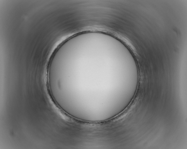 X0000111931040200907271026