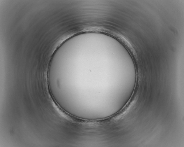X0000111931041200907271026