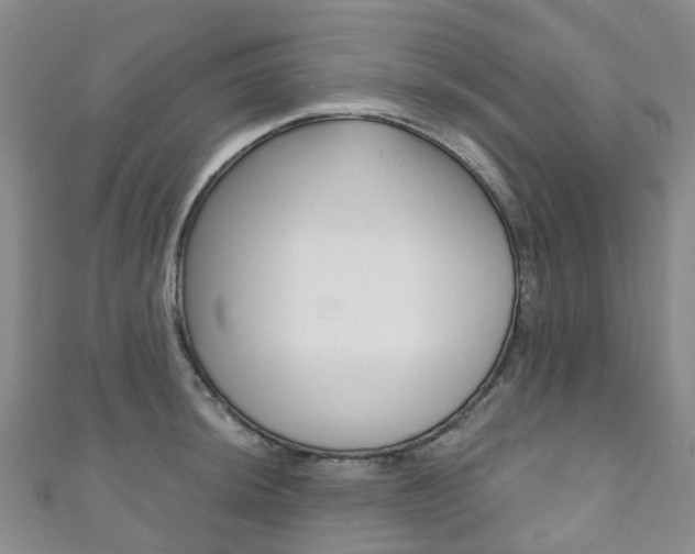 X0000111931044200907271026