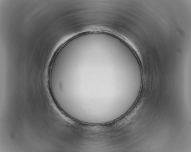 X0000111931045200907271026